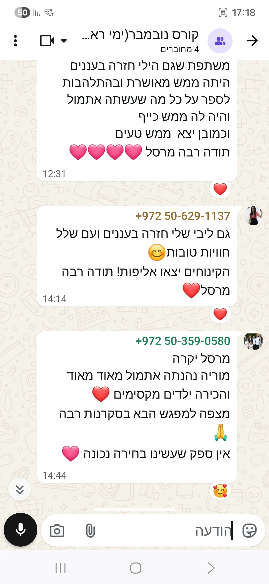 הודעה 13